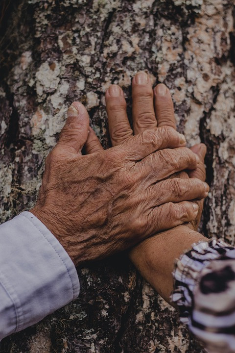 חרדת ביצוע: מוטמעת, לא נחוצה וניתנת לטיפול